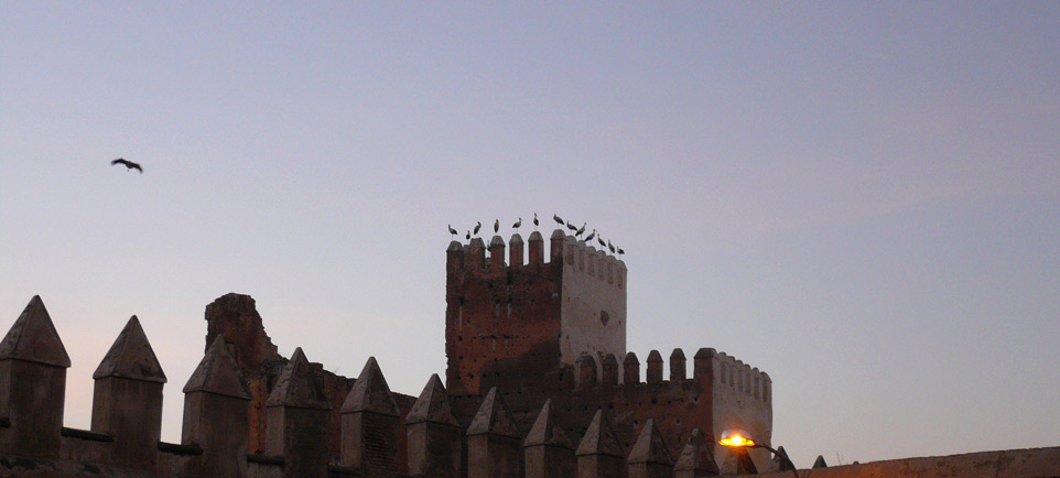 Our selection of the main sights in Fez