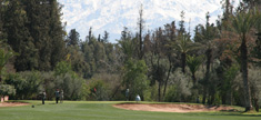 Royal Golf