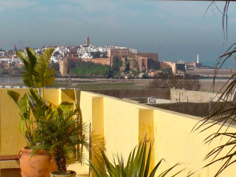 Terrace View