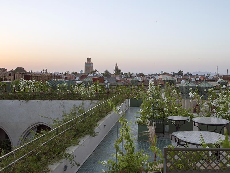 Terrace