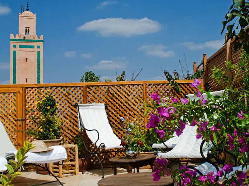 Sun loungers