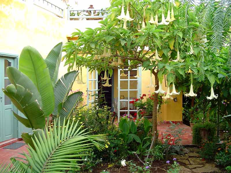 Garden Bis