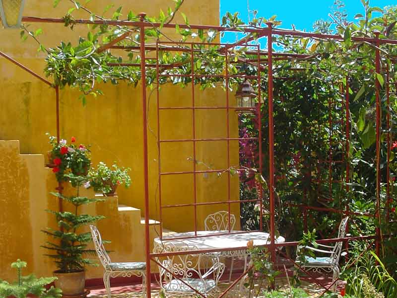 Terrace Aziz 