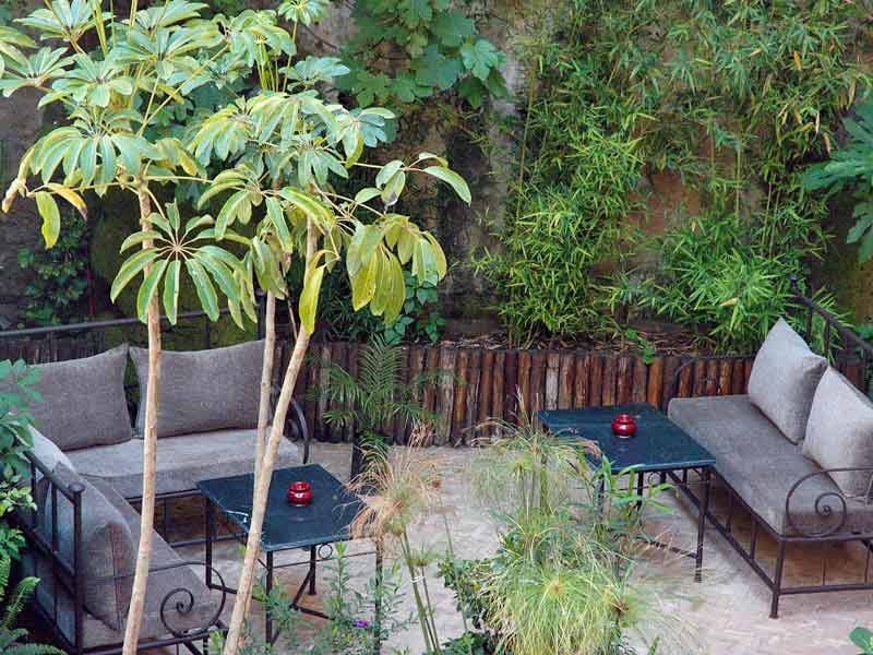Terrace Garden