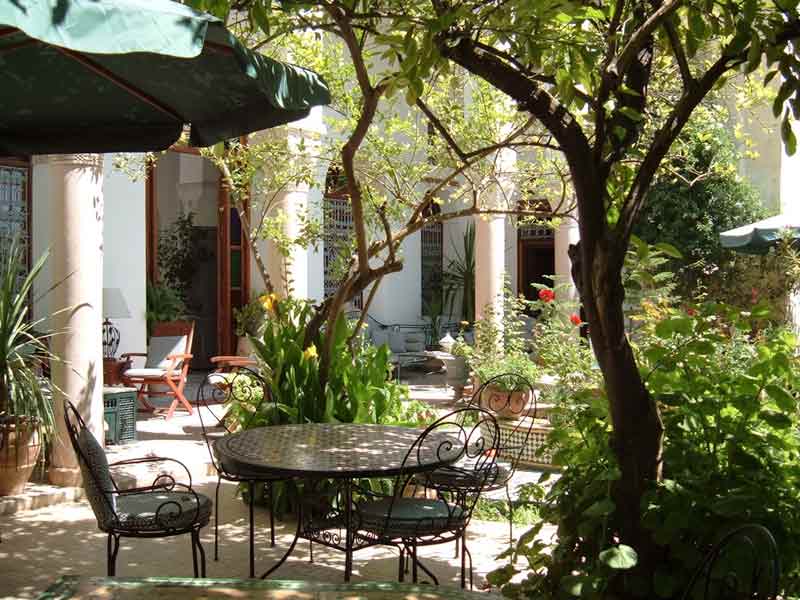 Garden