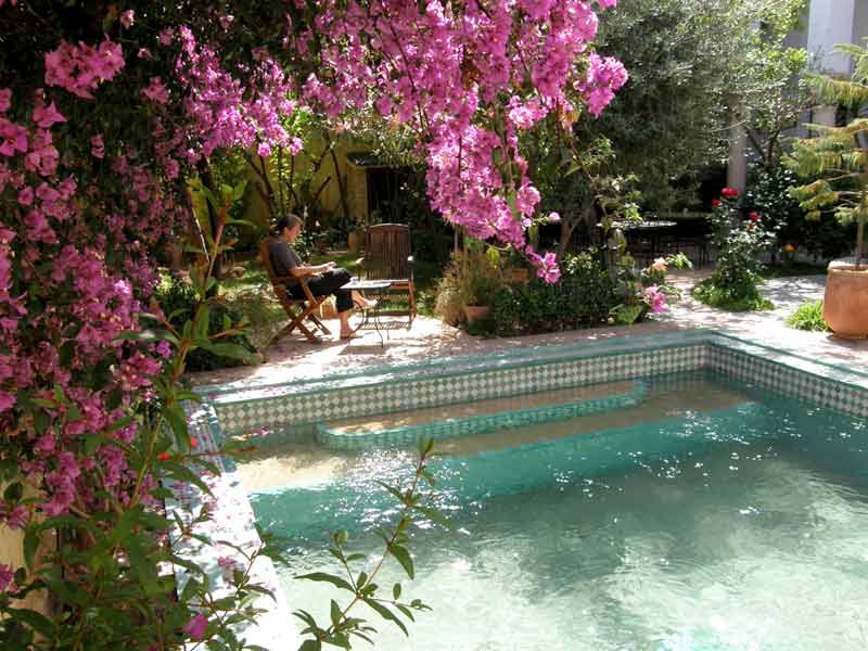 Swimming Pool 2