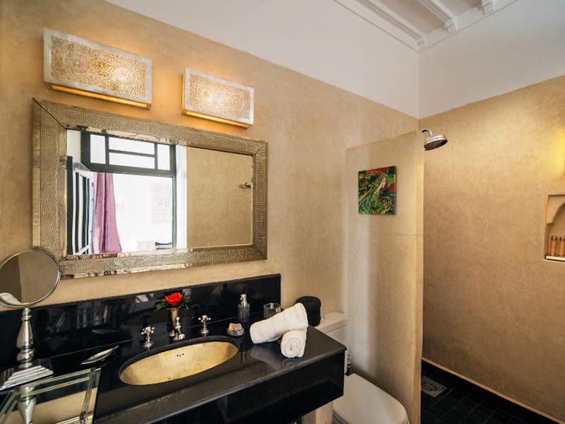 Paris ensuite shower room