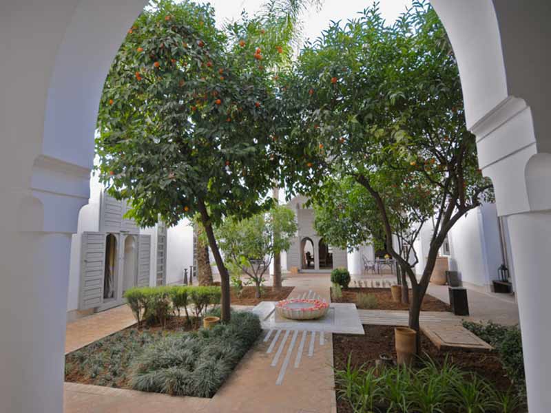 Garden