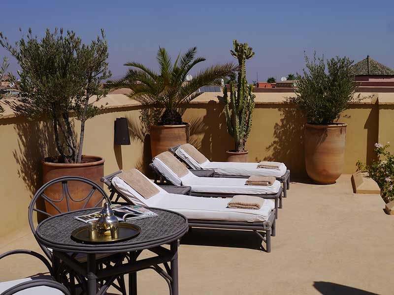 Sun Terrace