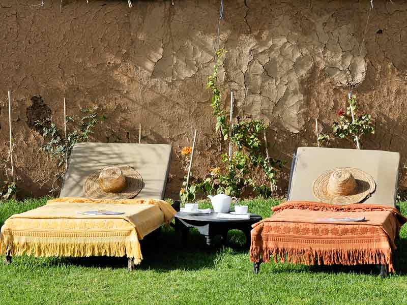 Sun Terrace